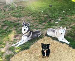 1371-After1-keira and leo.jpg 1371-After1-keira and leo.jpg