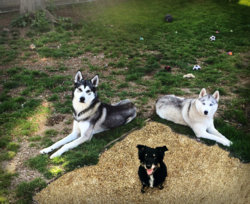 1371-After2-keira and leo.jpg 1371-After2-keira and leo.jpg