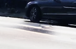 Screen Shot 2018-05-30 at 9.49.50 AM.png