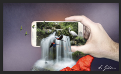 Screen Shot 2018-05-31 at 8.23.28 AM.png