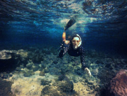 underwater.jpg