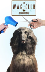 photoshoprequest.jpg photoshoprequest.jpg