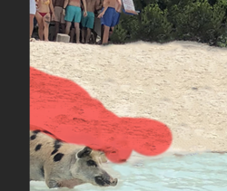 Screen Shot 2018-06-18 at 9.26.06 AM.png