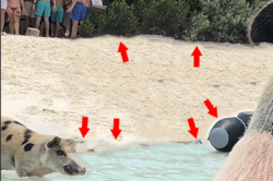 Screen Shot 2018-06-18 at 9.41.04 AM.png