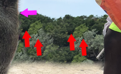 Screen Shot 2018-06-18 at 10.06.35 AM.png