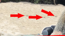 Screen Shot 2018-06-18 at 10.07.45 AM.png