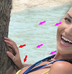 Screen Shot 2018-06-18 at 10.21.53 AM.png