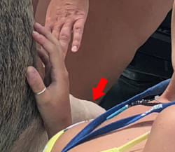 Screen Shot 2018-06-18 at 10.22.42 AM.png