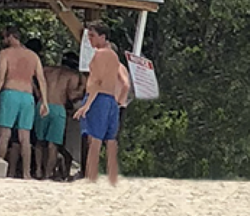 Screen Shot 2018-06-19 at 12.00.24 PM.png