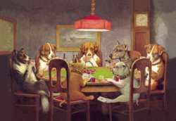 dogs playing poker.jpg
