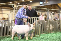 greyson houston 2018 2.jpg