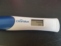 20180721_130158.jpg 20180721_130158.jpg