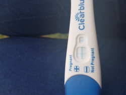 20180721_140510.jpg 20180721_140510.jpg