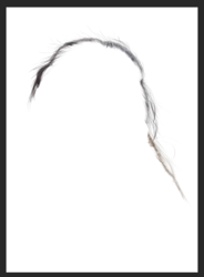 Screen Shot 2018-07-30 at 1.59.10 PM.png