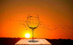 wine glass thing.jpg