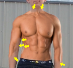 Screen Shot 2018-08-13 at 11.33.52 PM copy.png Screen Shot 2018-08-13 at 11.33.52 PM copy.png