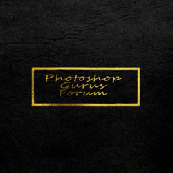 Black and Gold.jpg Black and Gold.jpg