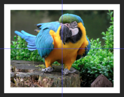 Screen Shot 2018-11-01 at 9.26.29 AM.png Screen Shot 2018-11-01 at 9.26.29 AM.png