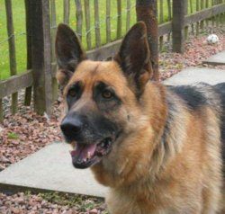 12074972_10206892434006896_3969101170191931407_n.jpg 12074972_10206892434006896_3969101170191931407_n.jpg