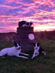 44253137_10216132981134799_1618646751500042240_o.jpg 44253137_10216132981134799_1618646751500042240_o.jpg