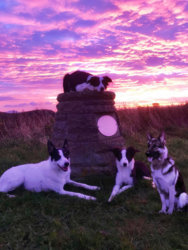 44253137_10216132981134799_1618646751500042240_of.jpg 44253137_10216132981134799_1618646751500042240_of.jpg