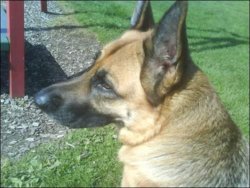 1000305_672180612811322_711365622_n.jpg 1000305_672180612811322_711365622_n.jpg