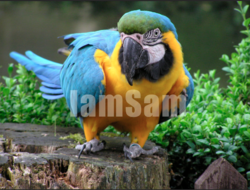 Screen Shot 2018-11-20 at 9.12.52 PM.png