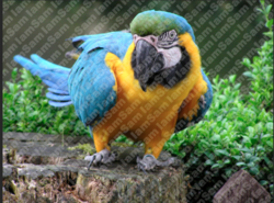 Screen Shot 2018-11-20 at 9.12.07 PM.png