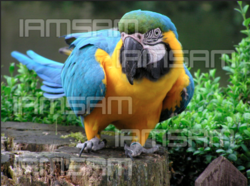 Screen Shot 2018-11-20 at 9.18.56 PM.png