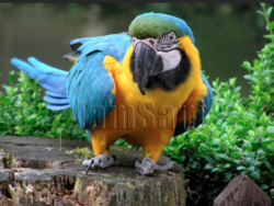 Screen Shot 2018-11-21 at 1.23.52 AM.png