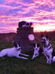 44253137_10216132981134799_1618646751500042240_off.jpg 44253137_10216132981134799_1618646751500042240_off.jpg