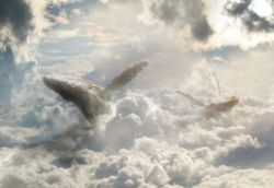 Screen Shot 2018-11-27 at 11.14.57 AM.png