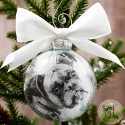 Remi-SP.jpg Remi-SP.jpg