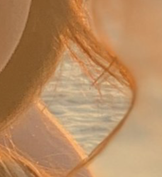 Screen Shot 2018-11-27 at 3.47.41 PM.png Screen Shot 2018-11-27 at 3.47.41 PM.png