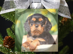 Screen Shot 2018-11-27 at 6.02.53 PM.png Screen Shot 2018-11-27 at 6.02.53 PM.png