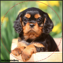 Screen Shot 2018-11-27 at 6.11.58 PM.png Screen Shot 2018-11-27 at 6.11.58 PM.png