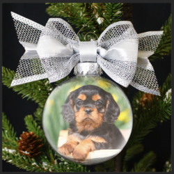 Screen Shot 2018-11-27 at 6.25.46 PM.png Screen Shot 2018-11-27 at 6.25.46 PM.png