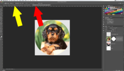 Screen Shot 2018-11-27 at 10.02.01 PM copy.png Screen Shot 2018-11-27 at 10.02.01 PM copy.png