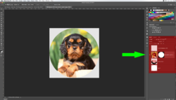 Screen Shot 2018-11-27 at 10.02.01 PM copy2.png Screen Shot 2018-11-27 at 10.02.01 PM copy2.png