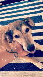 Alyssa and Capachino.jpg