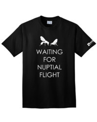 Waiting-For-Nuptial-Flight-front.jpg