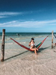 555836E7-240E-4A74-89DA-39A8AF8C8EA1.jpeg 555836E7-240E-4A74-89DA-39A8AF8C8EA1.jpeg