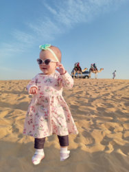 Camels.jpg Camels.jpg