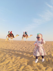 Camels2.jpg Camels2.jpg