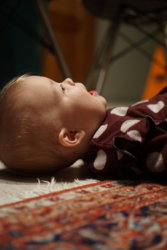 ORG_DSC06862_50.jpg ORG_DSC06862_50.jpg