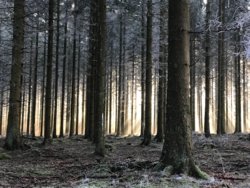 vincent-botta-1255669-unsplash.jpg vincent-botta-1255669-unsplash.jpg