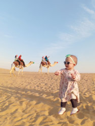 Camels3.jpg Camels3.jpg