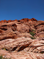 D0718329-8705-44B3-9033-61F2A6C5D11B - 2.png