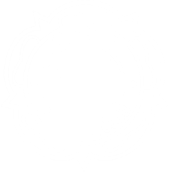 LOGO 1.png LOGO 1.png