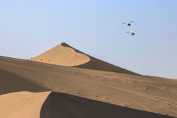Sand-Dunes-Color-Gradient-Adjustment-Layer.jpg